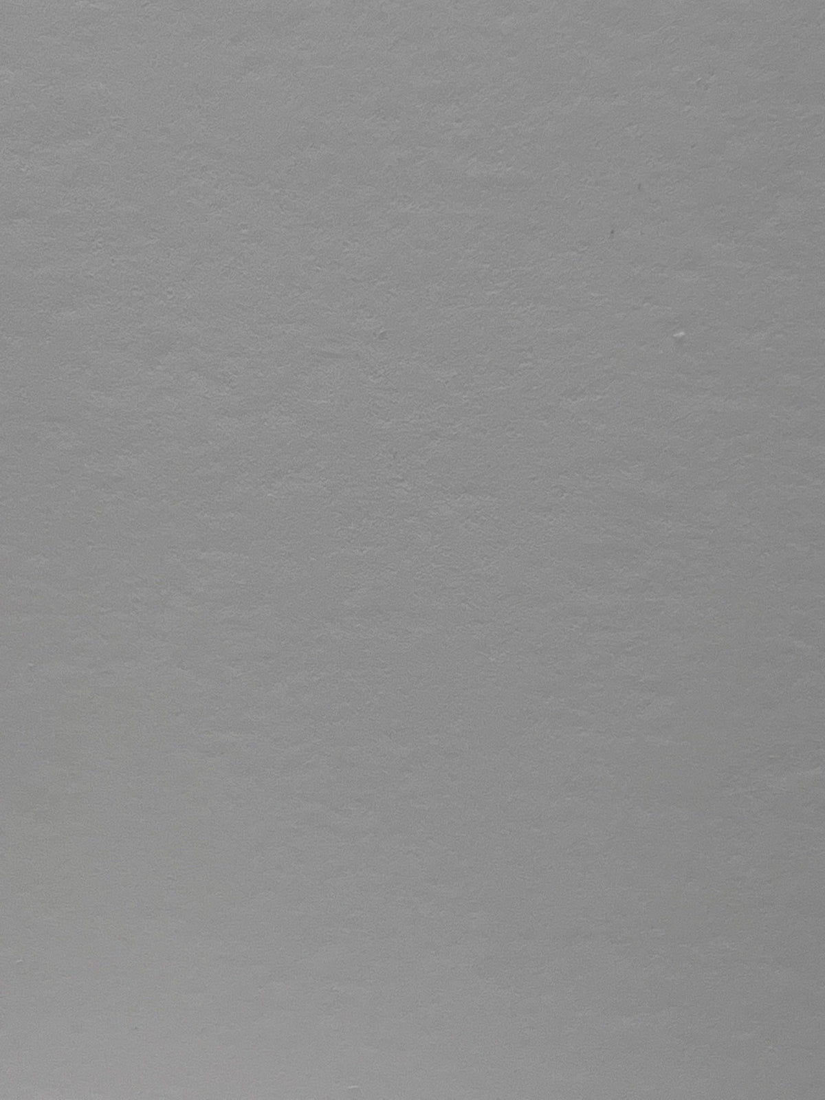 Carta patinata opaca 230 g in rotolo – Canon IJM148C Premium Plus Paper – fronte