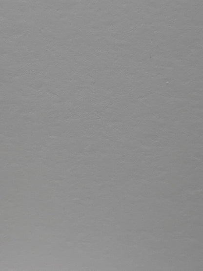 Carta patinata opaca 230 g in rotolo – Canon IJM148C Premium Plus Paper – fronte