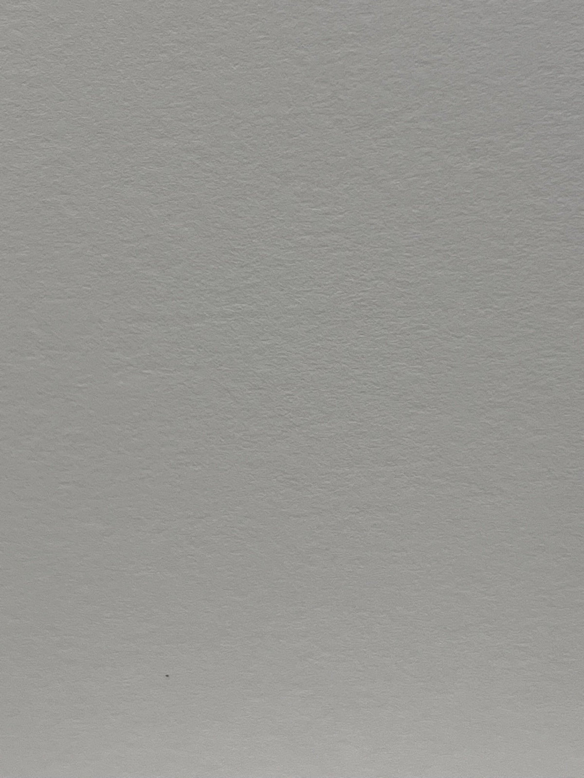 Carta patinata opaca 230 g in rotolo – Canon IJM148C Premium Plus Paper – retro