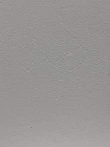 Carta patinata opaca 230 g in rotolo – Canon IJM148C Premium Plus Paper – retro