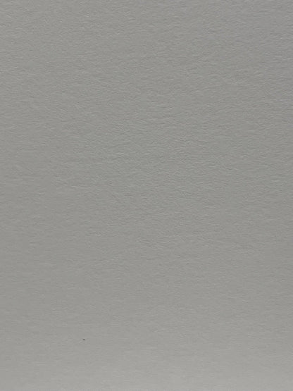 Carta patinata opaca 230 g in rotolo – Canon IJM148C Premium Plus Paper – retro