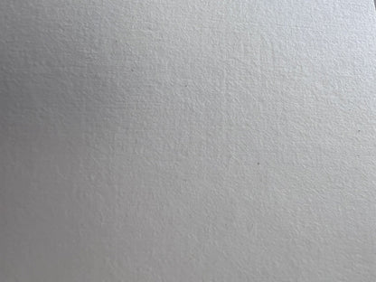 Carta da parati vinilica effetto lino su TNT FR 350 g in rotolo – Canon IJM737 – retro
