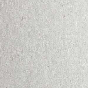 Idealpaper_Woodstock_Betulla
