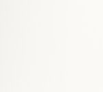 FreelifeKendo_Idealpaper_White