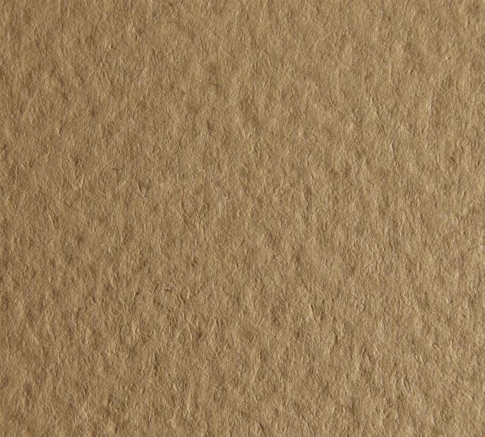 TintorettoCelyon_Idealpaper_Cannella