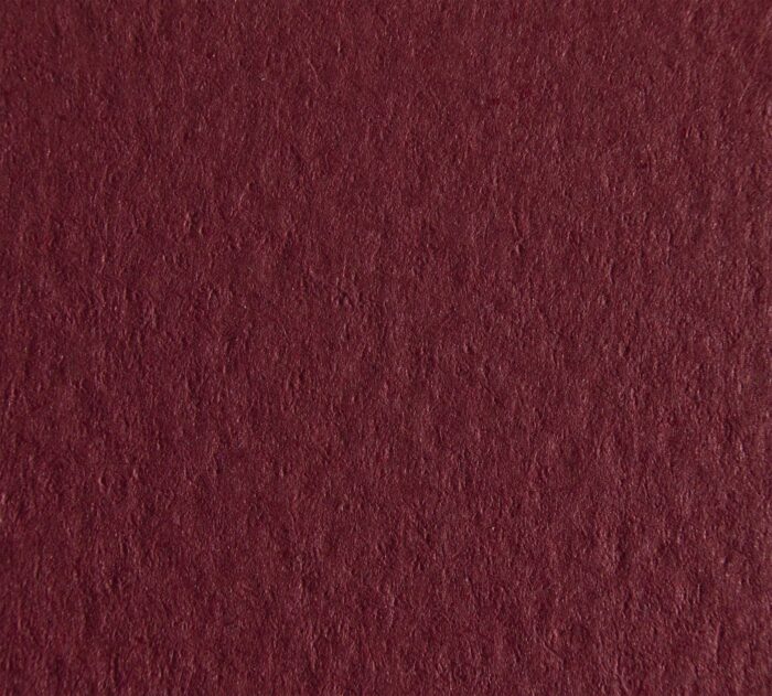 TintorettoCelyon_Idealpaper_Paprika